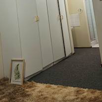 Shongile's room