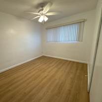Margarita's room