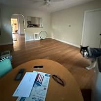 Spencer  Cantrell's room