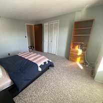 Shivani's room