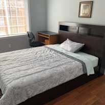 Shagufta's room