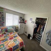 Tegan's room