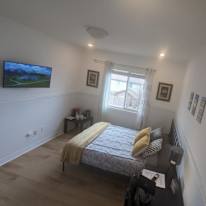 Nikoo Zohadi's room