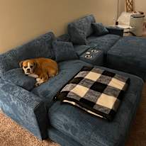 Sammie's room