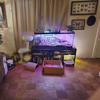 D's room