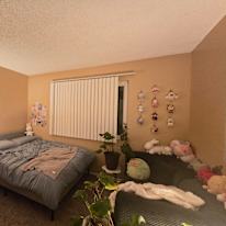 Evely's room