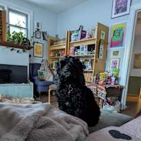 Mackenzie Lavender's room