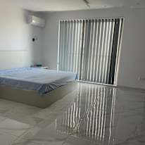 Gray's room