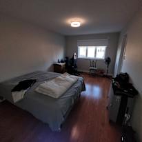 John Frantzis's room