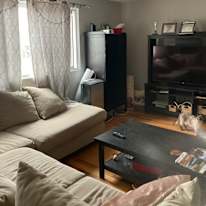 Caitlyn's room