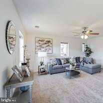Ted's room