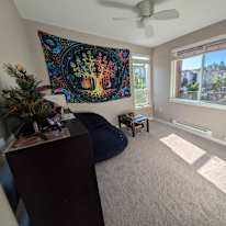 Drea's room