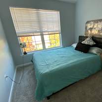 Micheal's room