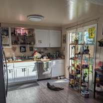Mary's room