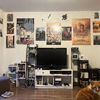 mohammad mirza's room