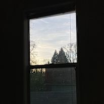 Andi's room