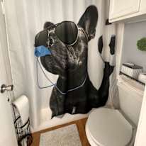 Mary's room