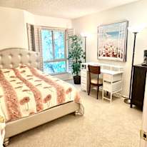 Vahid's room