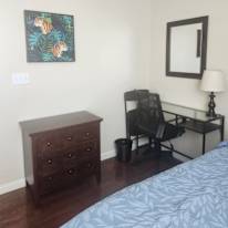 Ronnie's room