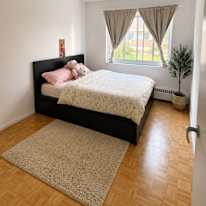 YOUSRA NADI's room