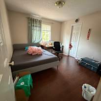 Saeed's room