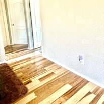 Zoi's room