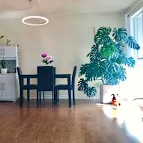 Suzanne's room