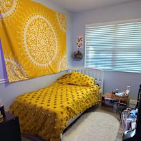 Rachel's room