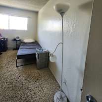 Elle's room