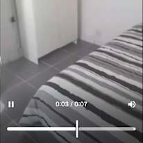 Sharky bester's room