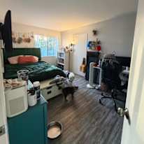 Jane's room