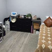 David's room