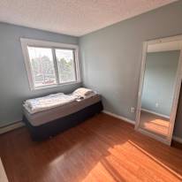 Marina's room