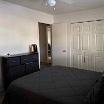Conal Colamarino's room