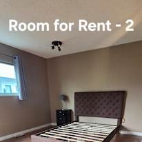 Suzanne Kelly's room