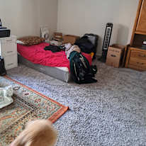 Lucia's room