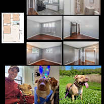 James's room