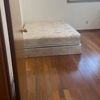 Lily's room