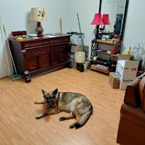 James's room
