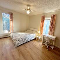 Shirin's room