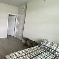 Wendolin's room