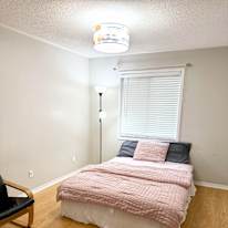 Raman's room