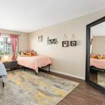 Rachel Yeddu's room