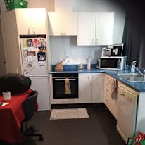Lorelei/ wellington's room