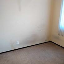 Rocky's room