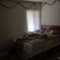 Cal's room