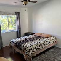 Lucy's room