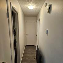 Qi's room