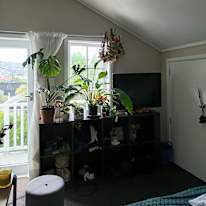 Francis's room
