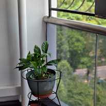 Sabari's room
